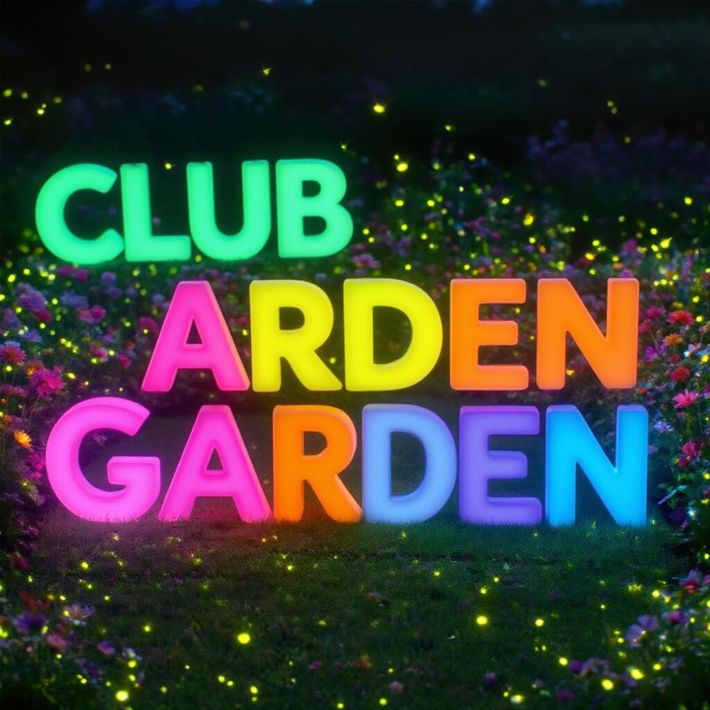 Digital Letter Decorative Lighting